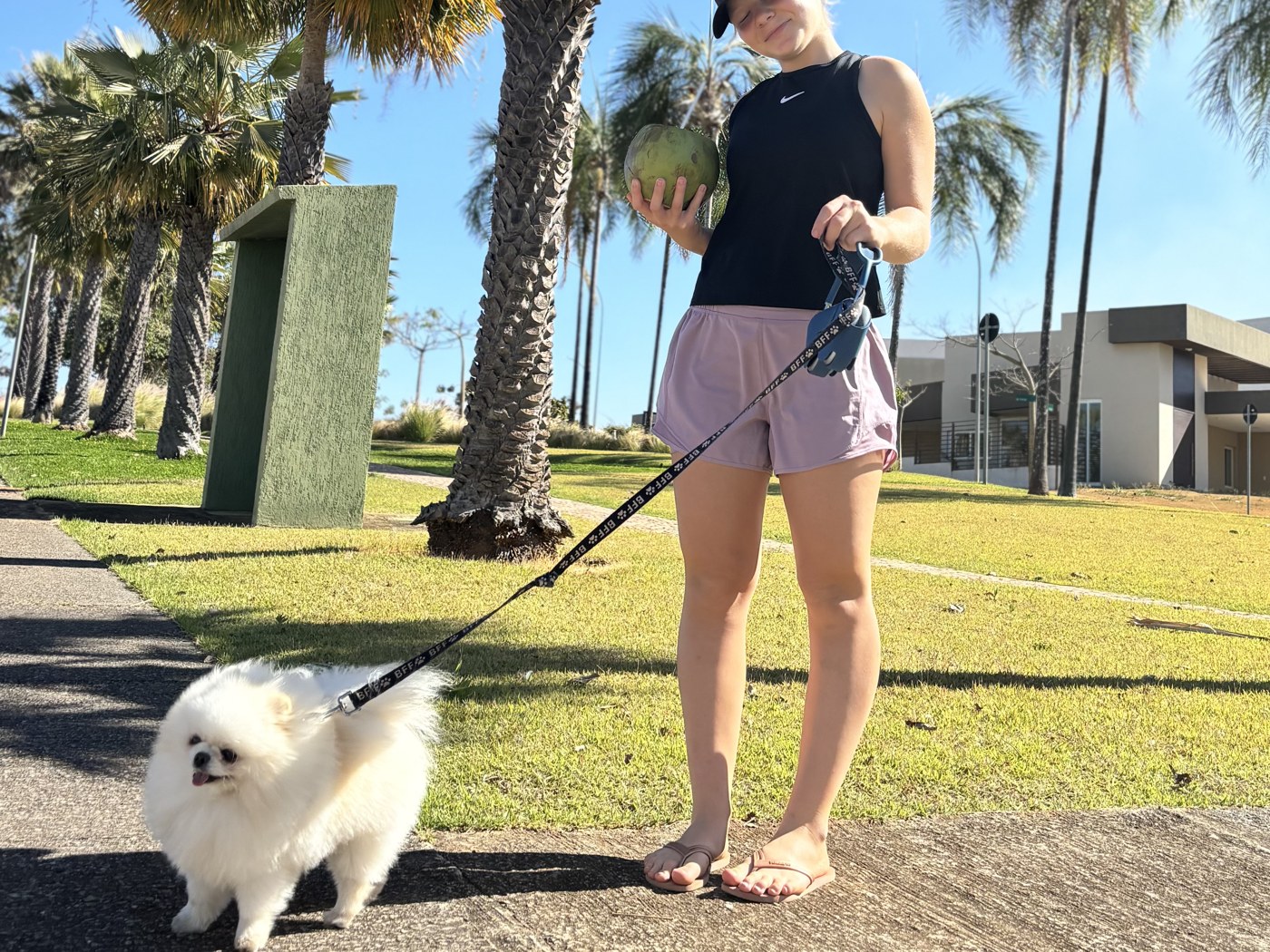 Our daughter walking one of our white Pomeranians
